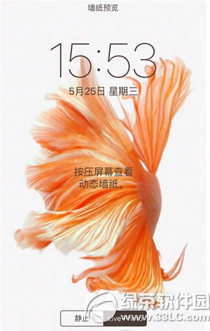 iphone6s动态壁纸不动怎么办 苹果6s动态壁纸动不了解决方法2