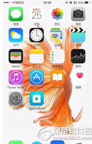 iphone6s动态壁纸不动怎么办 苹果6s动态壁纸动不了解决方法4