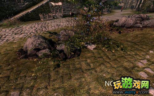 《上古卷轴5:天际》SkyrimPrefs.ini设置解析