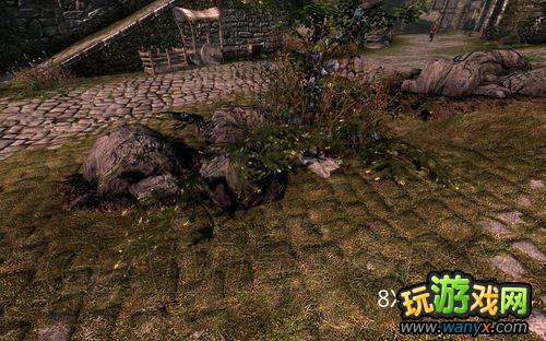 《上古卷轴5:天际》SkyrimPrefs.ini设置解析