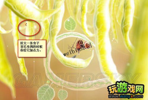 《植物精灵》详细图文攻略