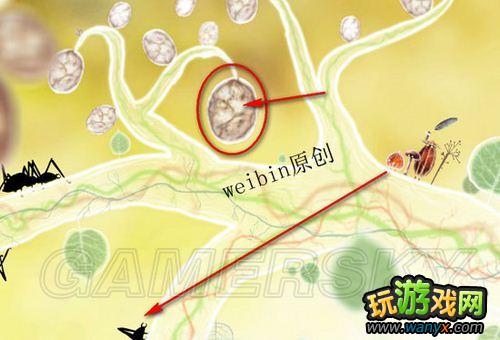 《植物精灵》详细图文攻略
