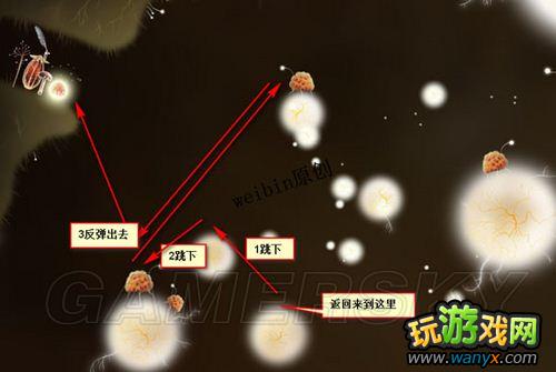 《植物精灵》详细图文攻略