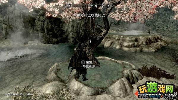 《上古卷轴5:黎明守卫》图文攻略第8章:看不见的景色
