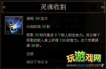 《暗黑破坏神3》巫医技能详解