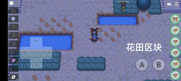 PokemmoɶԵشηֲ_վ