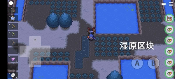 PokemmoɶԵشηֲ_վ