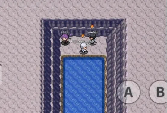 Pokemmo全准神捕捉攻略 准神捕捉位置一览_本站