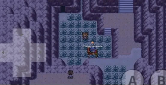 Pokemmo全准神捕捉攻略 准神捕捉位置一览_本站