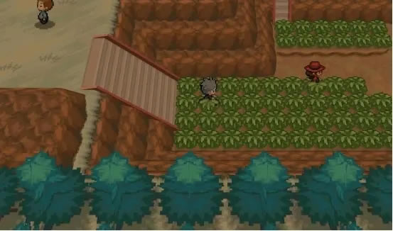 Pokemmo全准神捕捉攻略 准神捕捉位置一览_本站