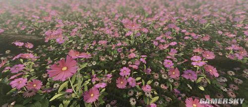 �����ǿ�