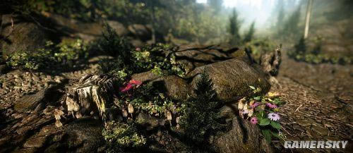 �����ǿ�