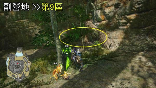 怪物猎人曙光密林副营地位置大全_本站