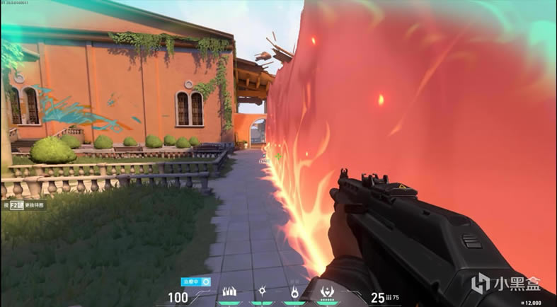 valorant��η��Լ�����˹(Phoenix)�淨��ѧ_��վ