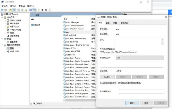 valorant��η��Լ�����׽�ֹ�������� vgtray��ֹ��������_��վ