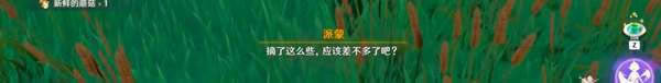 原神稻妻日常委托隐藏成就大全