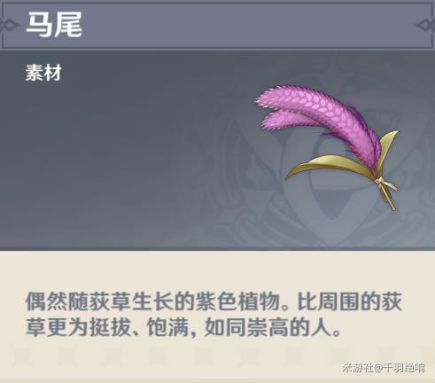 原神马尾收集地点推荐 马尾速刷路线一览_本站