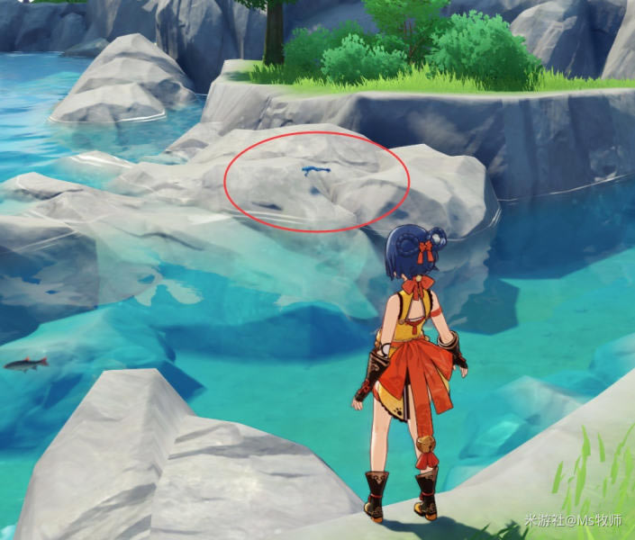 原神青蛙经常见位置列表 青蛙速刷位置推荐