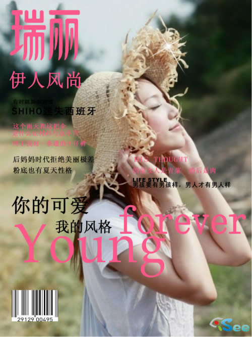 效果图1