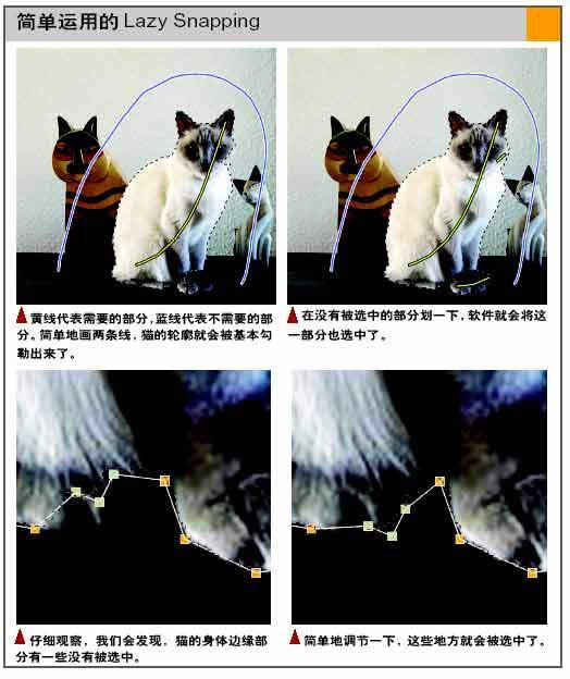΢³ɹΪ׼Ŀͼ