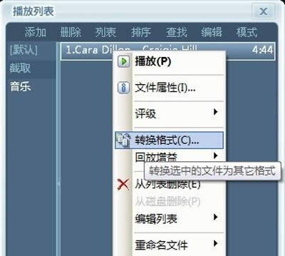 转换格式