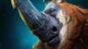 DOTA2 7.16־ DOTA27.16汾