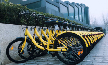 ofo