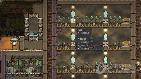 缺氧二氧化碳