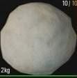 人渣SCUM区分毒蘑菇方法 人渣SCUM可食用蘑菇毒蘑菇一览