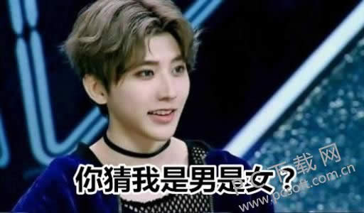 伪娘是什么意思?