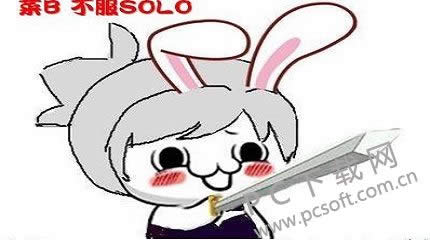 solo什么意思?
