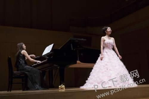 solo什么意思?