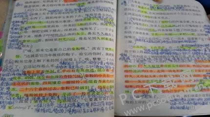 批注是什么意思?