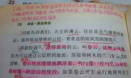 批注是什么意思?