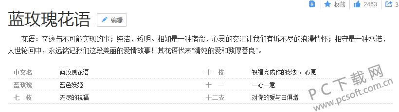 蓝玫瑰代表什么?