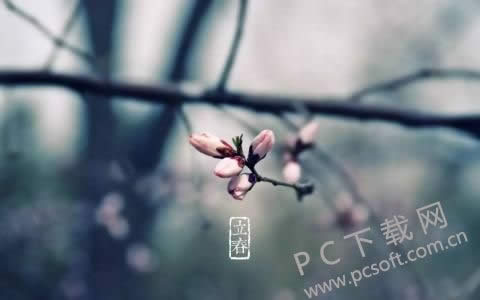 寡妇年是什么意思?