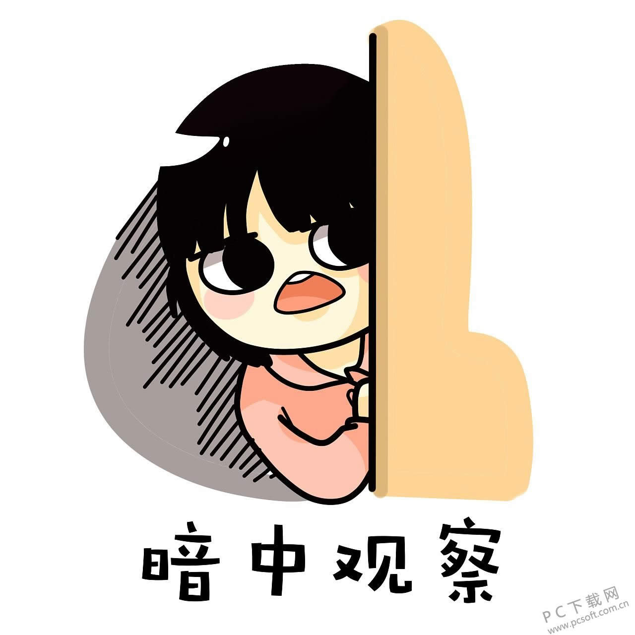 wife是什么意思?