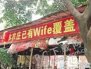 wife是什么意思?