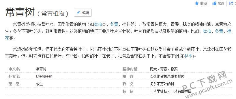 圣诞树是什么树?