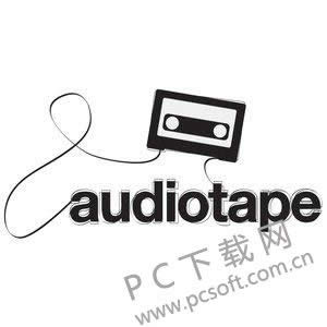 audio是什么意思?