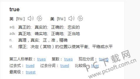 true是什么意思?
