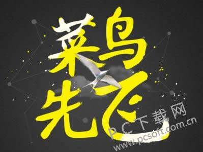 菜鸟是什么意思?
