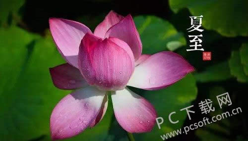 夏至是什么意思?
