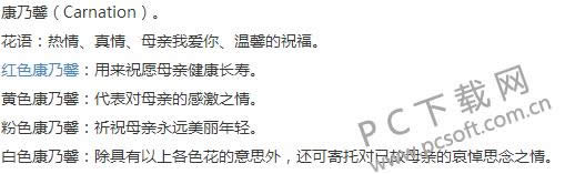 母亲节送什么花?