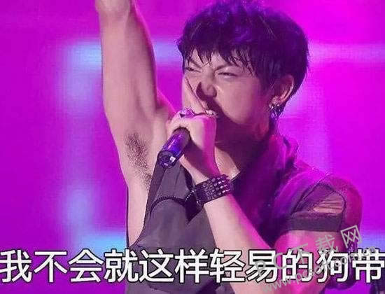 狗带是什么意思?