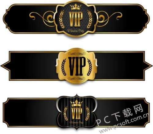vip什么意思?