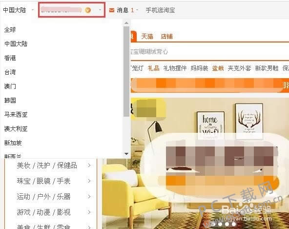 旺旺号是什么?