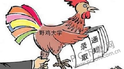 野鸡大学是什么意思?