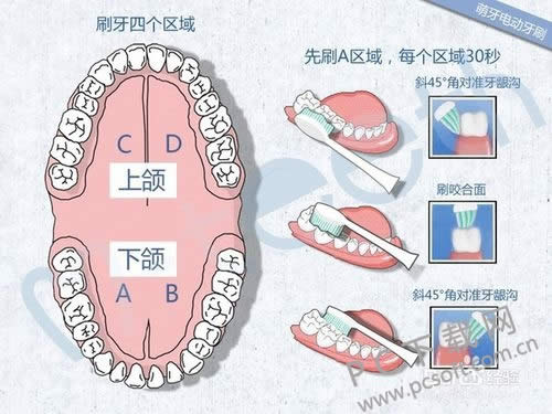 电动牙刷怎么用?