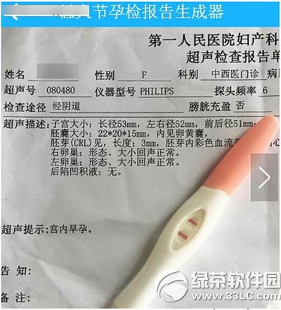 愚人节孕检报告生成器怎么用 愚人节孕检检验报告单生成器玩法